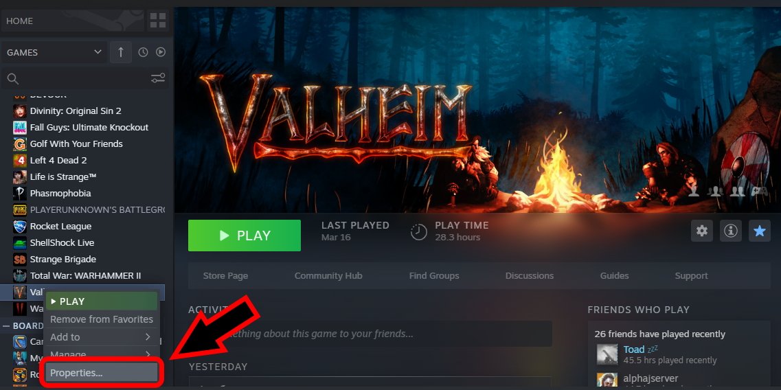 How to open the console in Valheim f5 not working