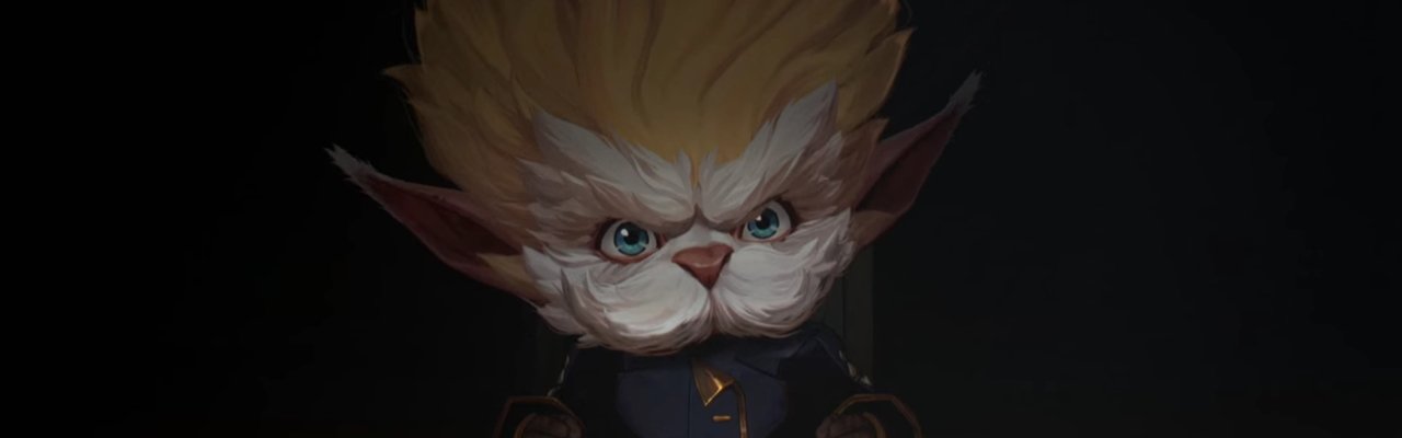 Arcane Council Members heimerdinger who are the council