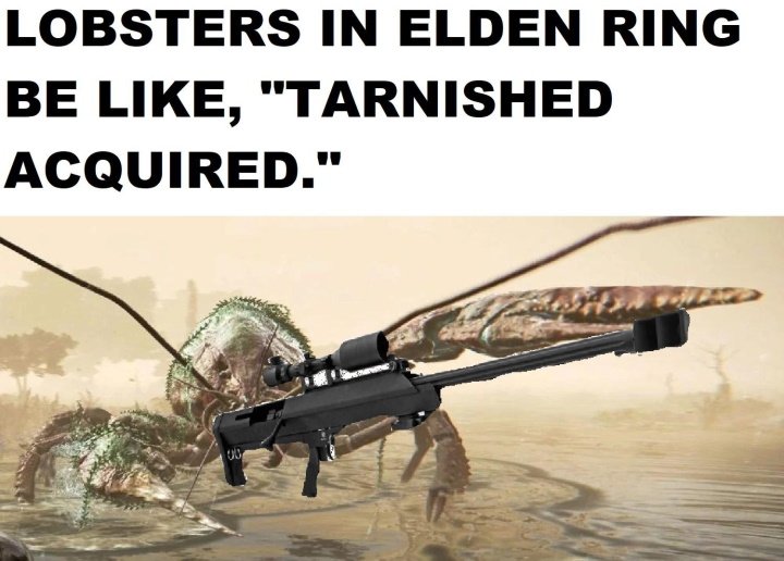 Best Elden Ring memes liurnia