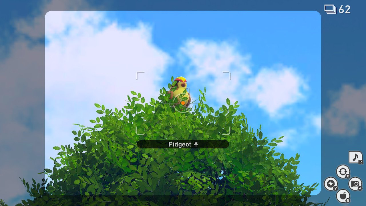Flopping by the water New Pokemon Snap request