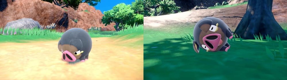 New pokemon in pokemon scarlet violet lechonk