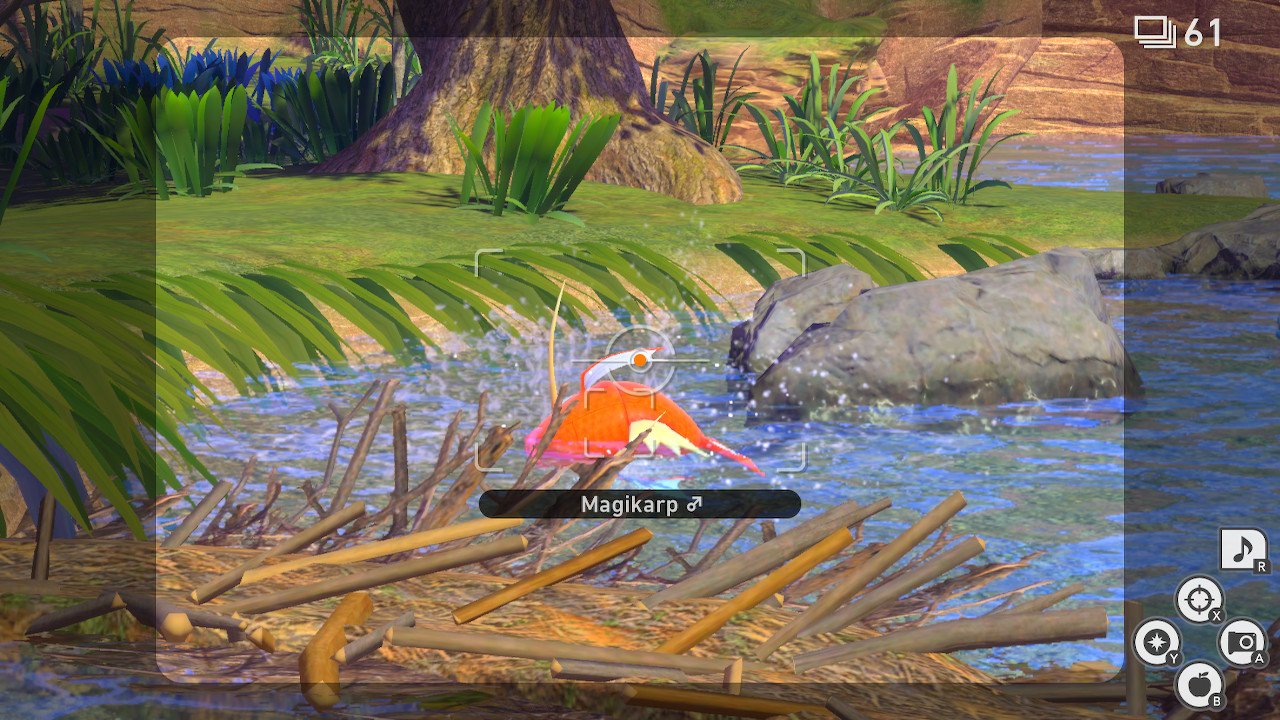 New Pokemon Snap Flopping by the water request guide