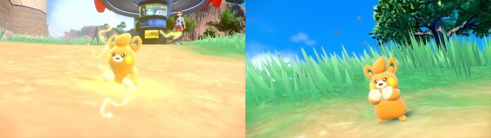 Pokemon Scarlet violet all new pokemon pawmi