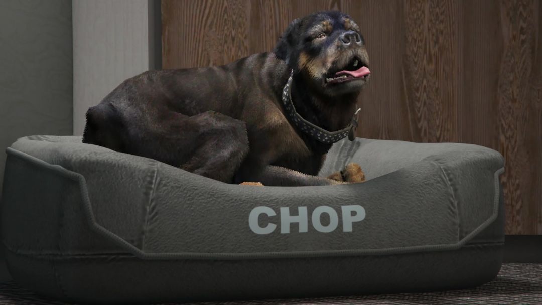 Chop meurt-il dans GTA Online ?- img