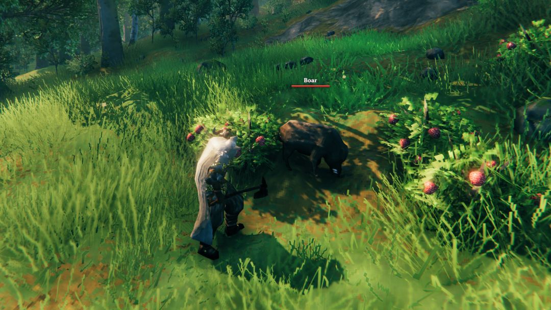 Comment apprivoiser les sangliers à Valheim, ainsi que les loups et les loxis ?- img