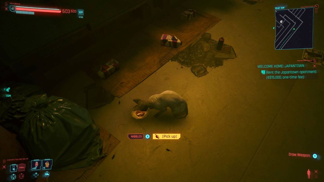 Comment obtenir Nibbles le chat dans Cyberpunk 2077- img