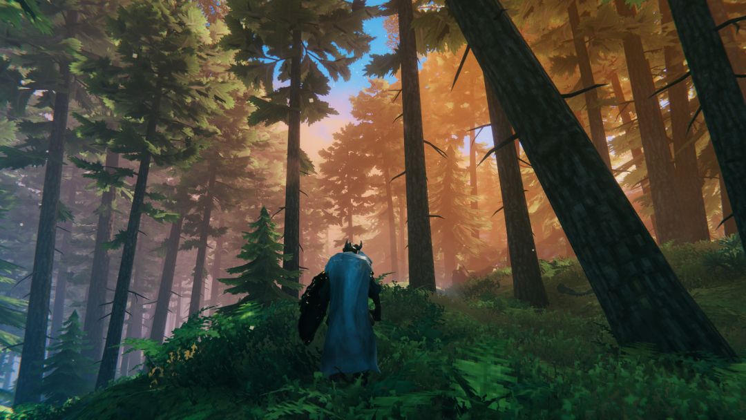 Les biomes de Valheim, les régions et ce à quoi il faut s'attendre expliqués- img