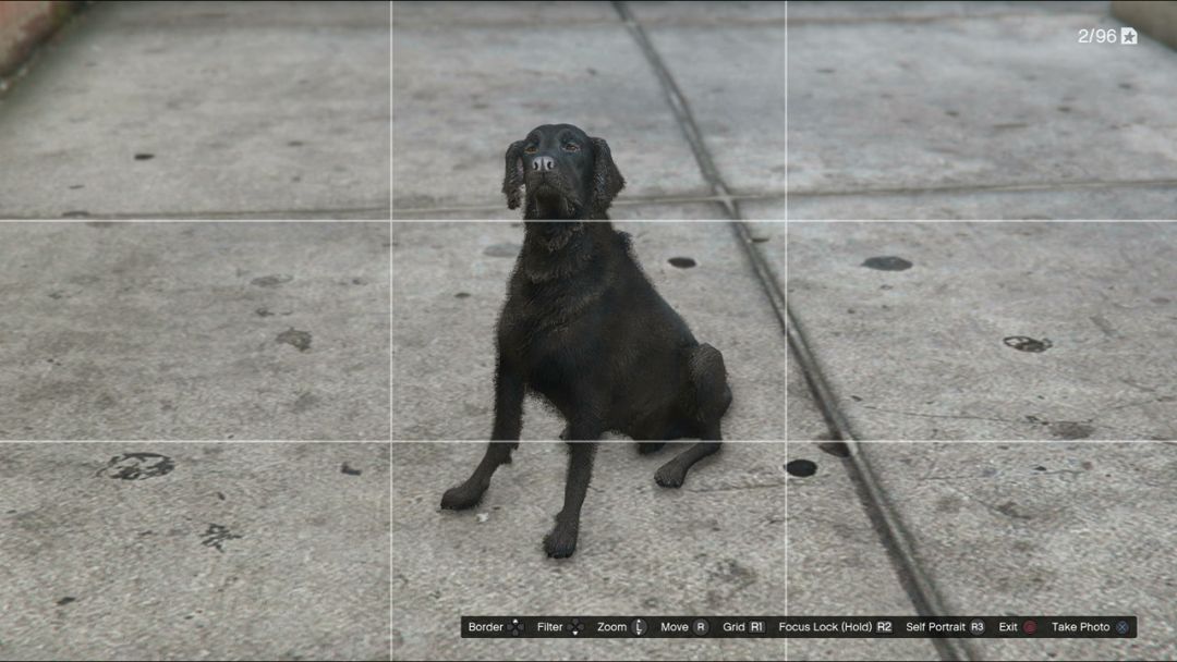 Comment relever le défi de la photographie animalière de GTA 5 et débloquer le sous-marin Kraken ?- img