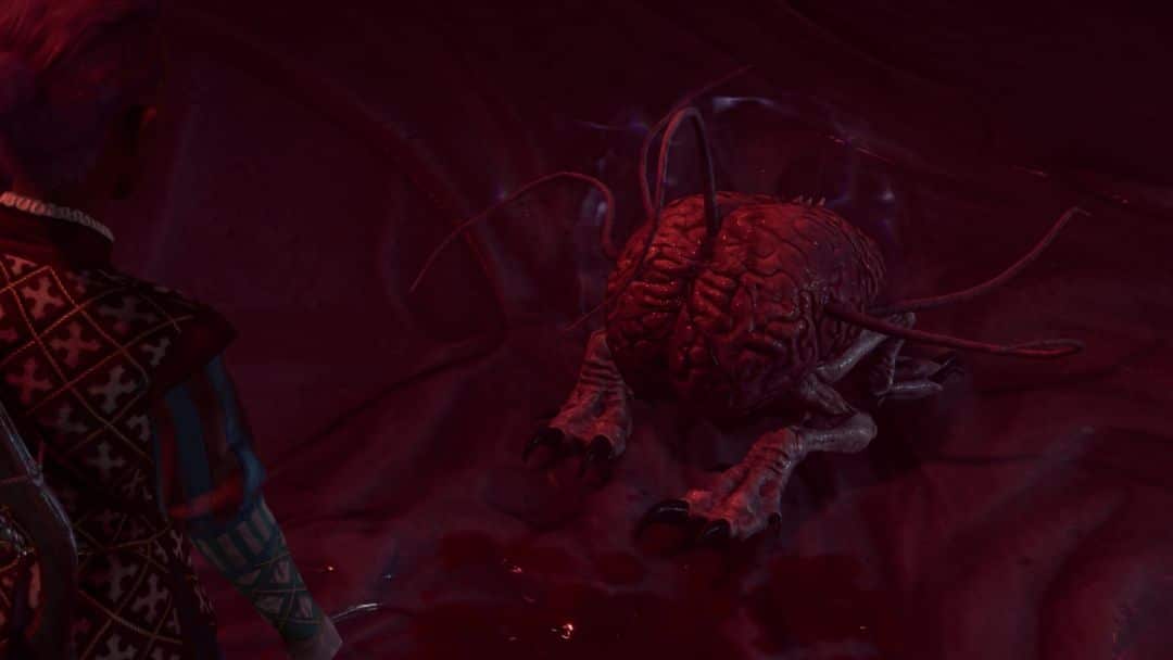 Faut-il supprimer ou détruire le Cerveau dans Baldur's Gate 3 ?- img