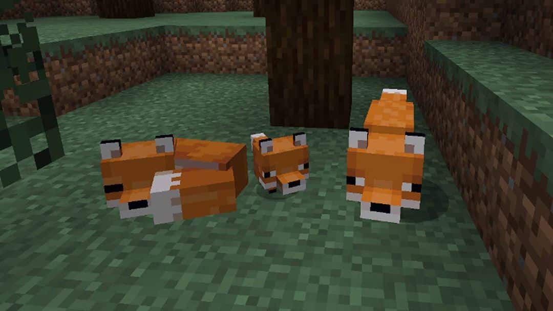 Comment apprivoiser un renard dans Minecraft et se faire un nouvel ami ?- img