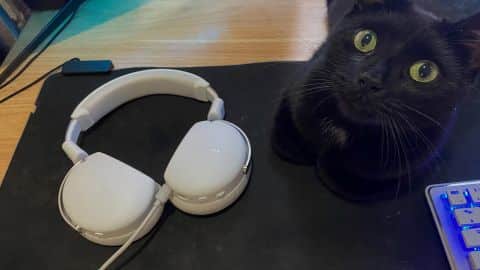 Critique du casque de jeu HYTE Eclipse HG10 : "Un début solide- img