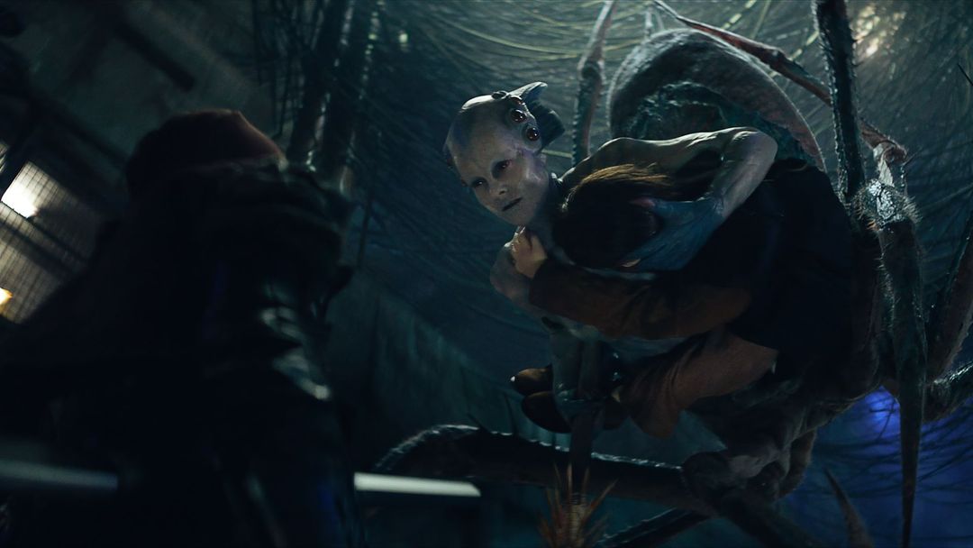 Les fans de Zack Snyder ne demandent qu'une chose pour Rebel Moon de Netflix : une sortie en salle. - img