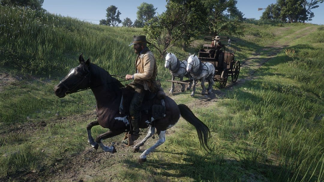 Les meilleurs réglages de Red Dead Redemption 2- img