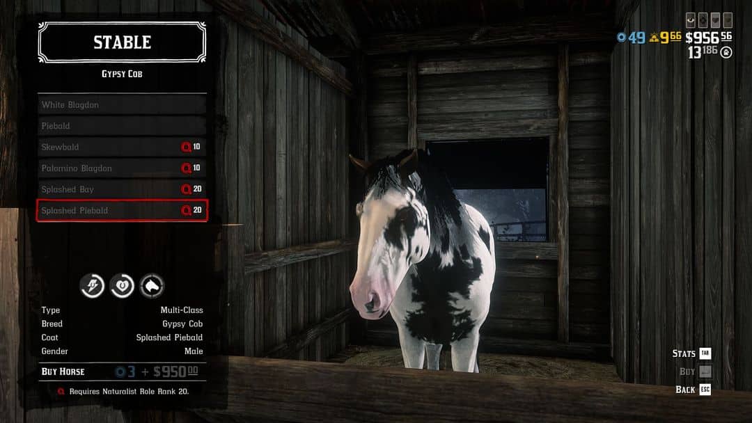 Red Dead Online Cheval Cob Gitan : Comment débloquer et utiliser le nouveau cheval de la mise à jour Naturaliste ?- img