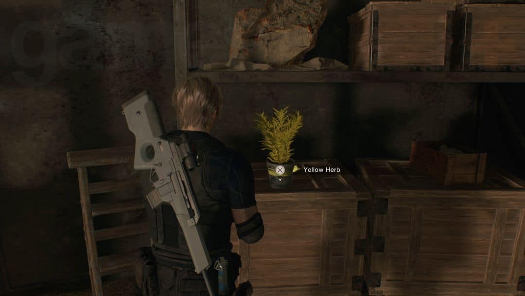 Tous les emplacements de Resident Evil 4 Yellow Herb dans le remake- img