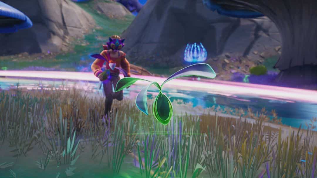 Comment planter des aubiers de réalité avec des graines de réalité Fortnite- img