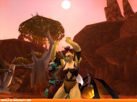 Critique de World of Warcraft- img