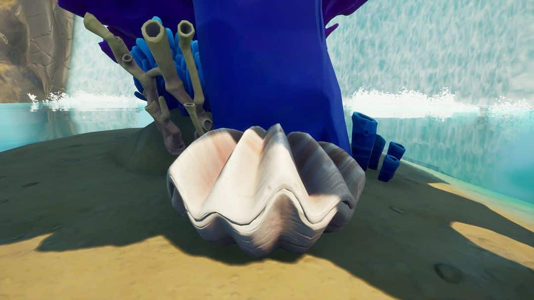 Emplacement des Coral Buddies dans Fortnite : Où signaler les Coral Buddies- img