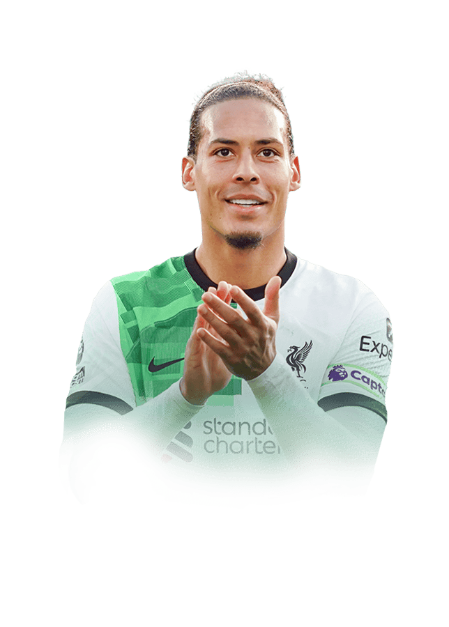 van Dijk 91