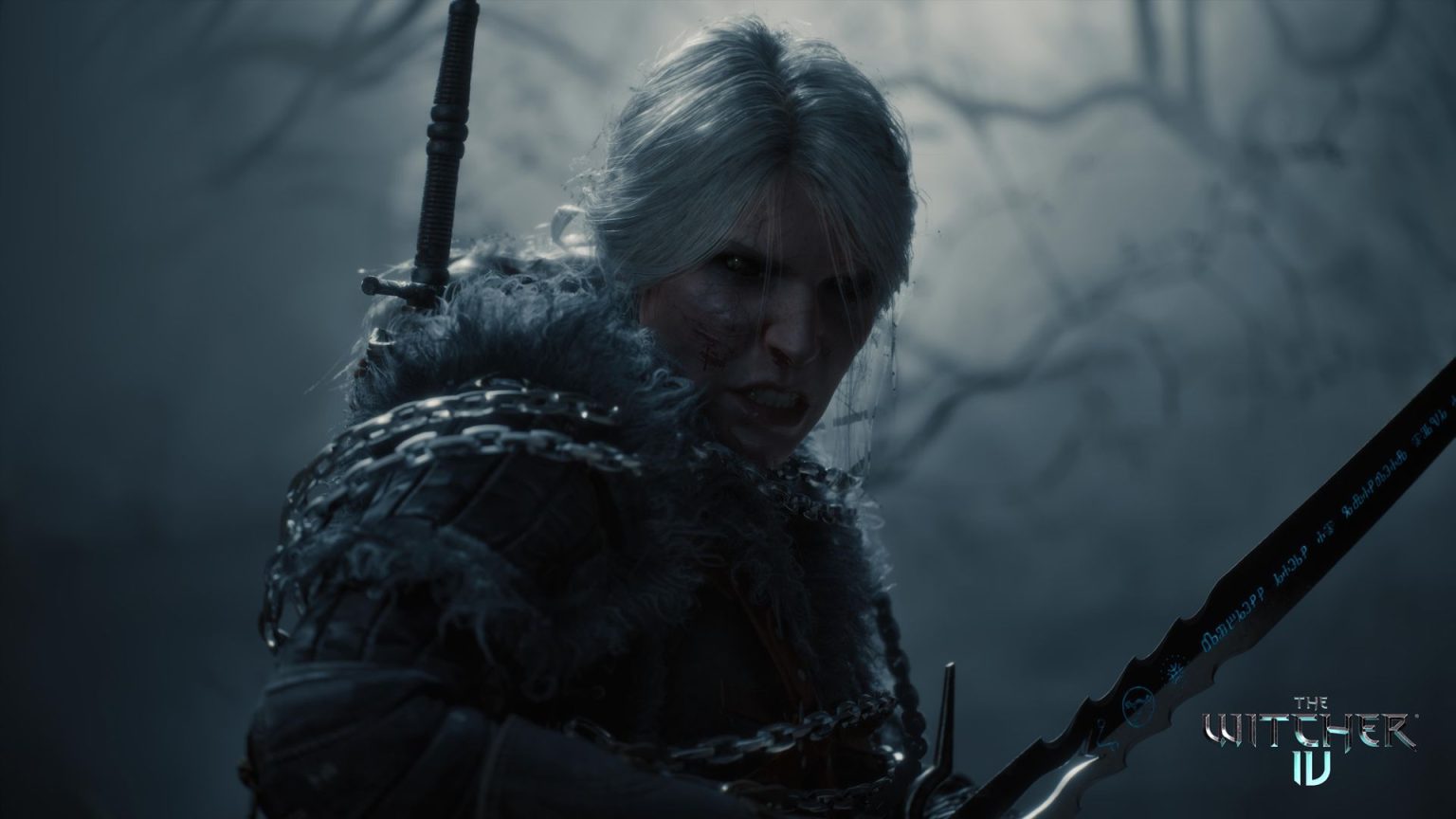 The Witcher 4 : Tout ce que nous savons jusqu'à présent - img
